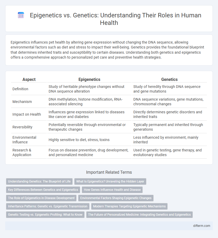 Epigenetics vs. Genetics: Understanding Their Roles in Human Health