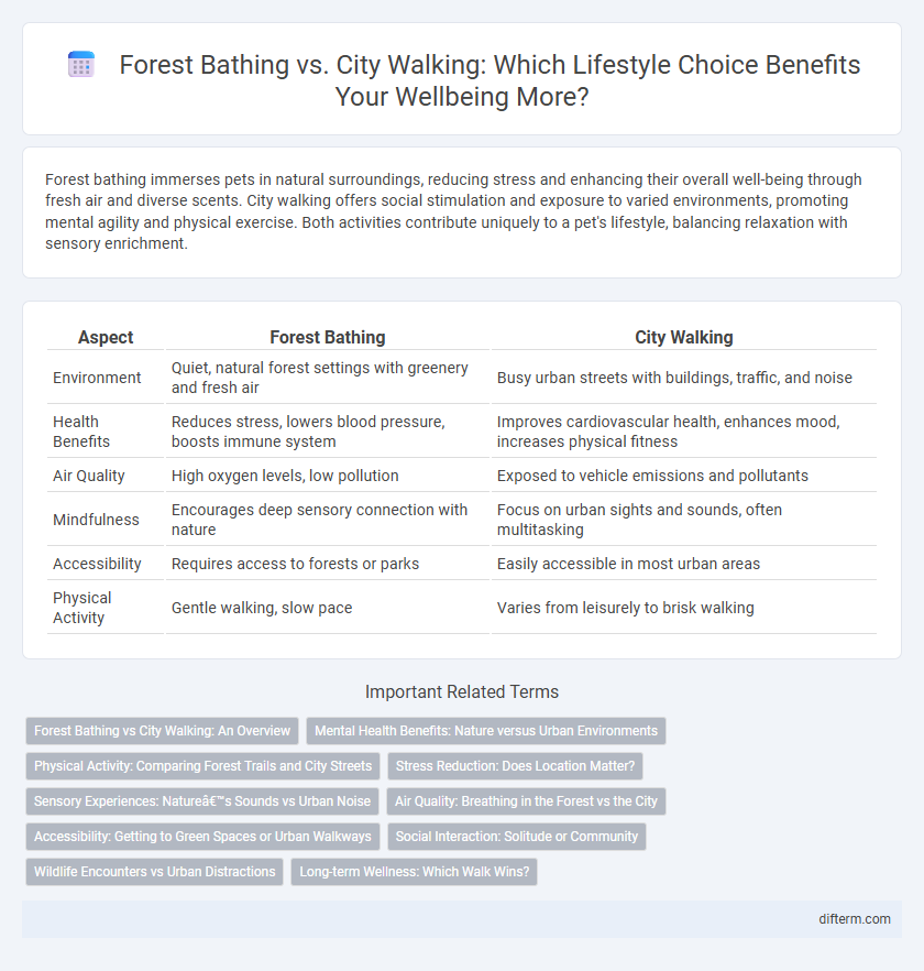 Forest Bathing vs. City Walking: Which Lifestyle Choice Benefits Your Wellbeing More?