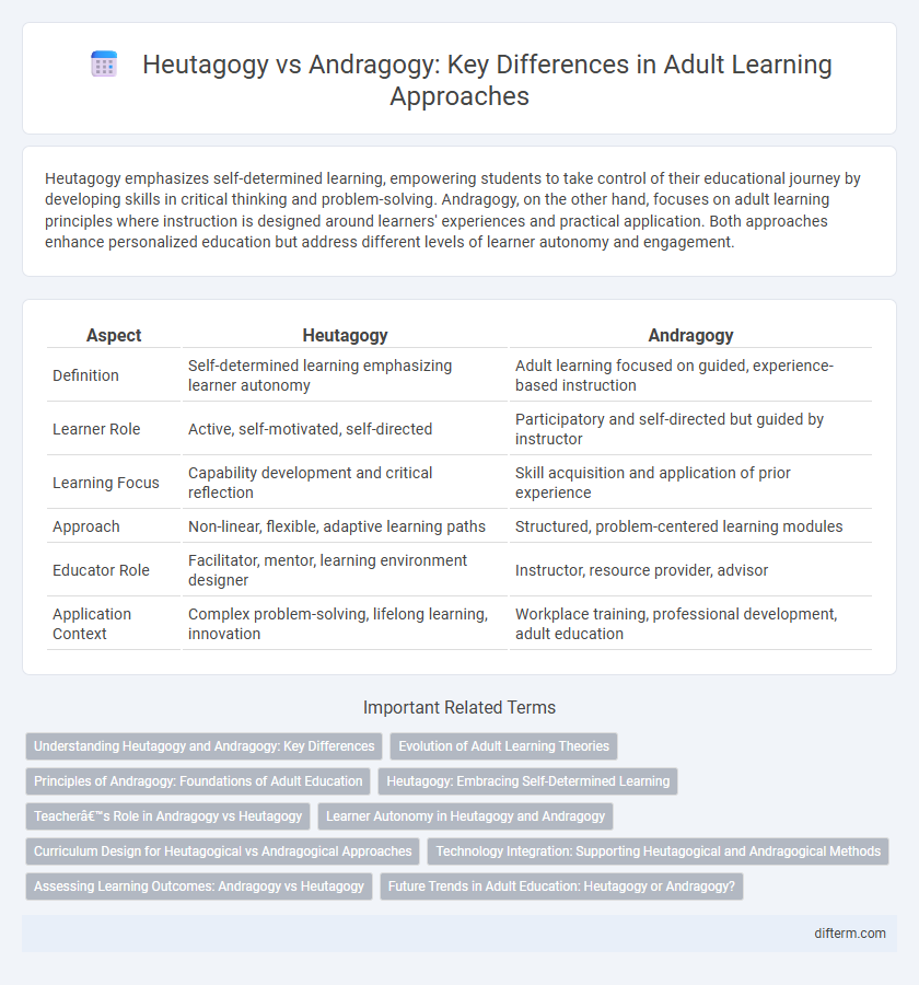 Heutagogy vs Andragogy: Key Differences in Adult Learning Approaches