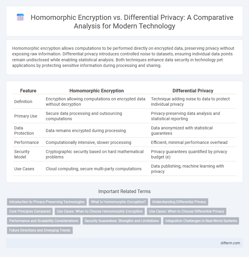 Homomorphic Encryption vs. Differential Privacy: A Comparative Analysis for Modern Technology