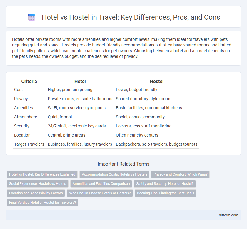 Hotel vs Hostel in Travel: Key Differences, Pros, and Cons