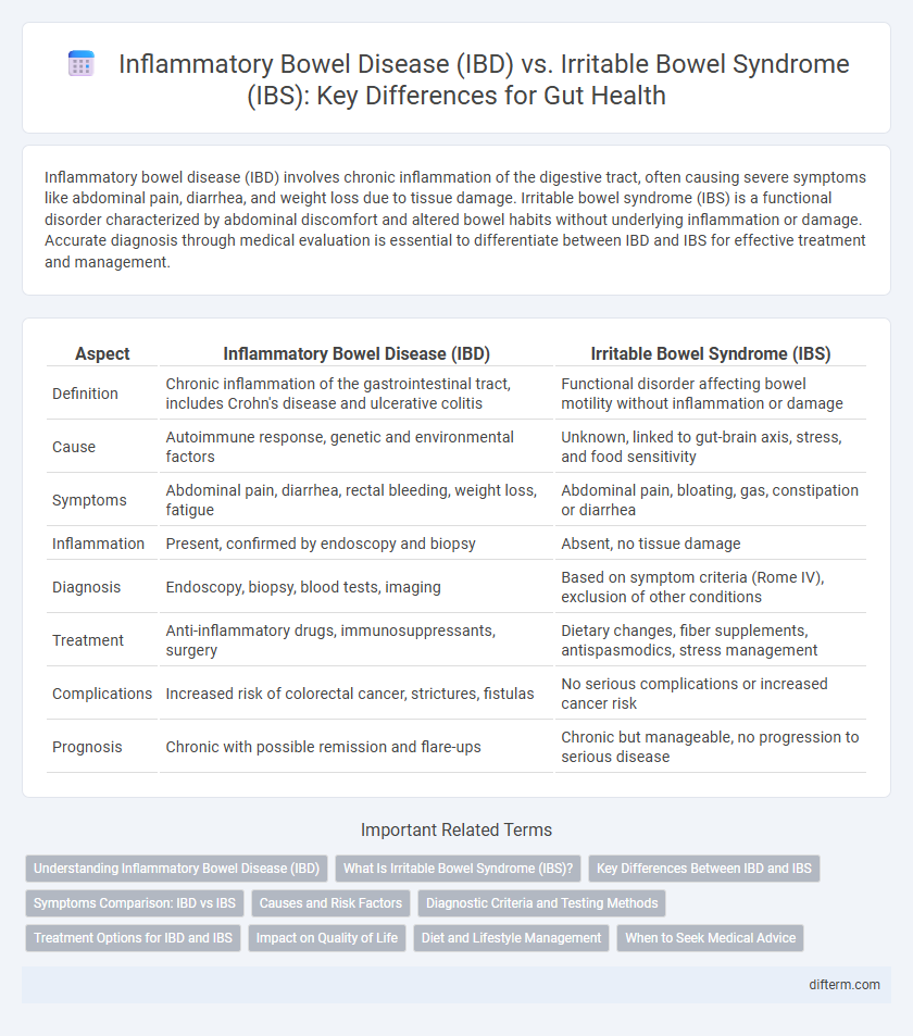 Inflammatory Bowel Disease (IBD) vs. Irritable Bowel Syndrome (IBS): Key Differences for Gut Health