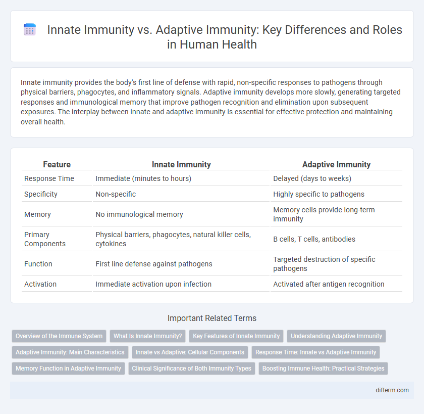 Innate Immunity vs. Adaptive Immunity: Key Differences and Roles in Human Health
