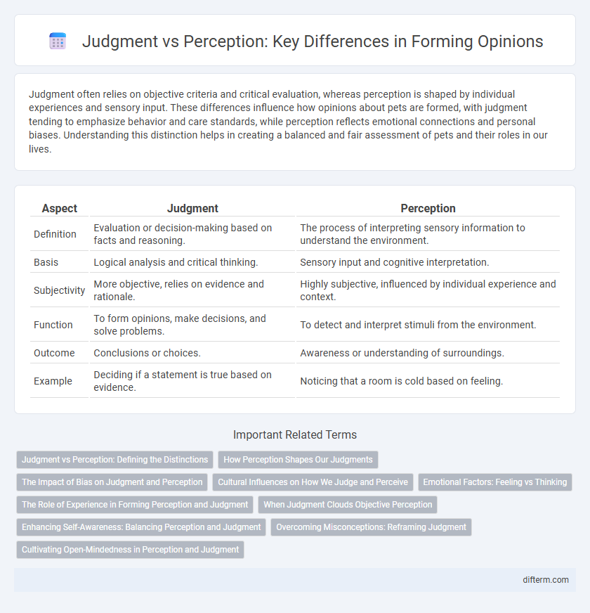 Judgment vs Perception: Key Differences in Forming Opinions