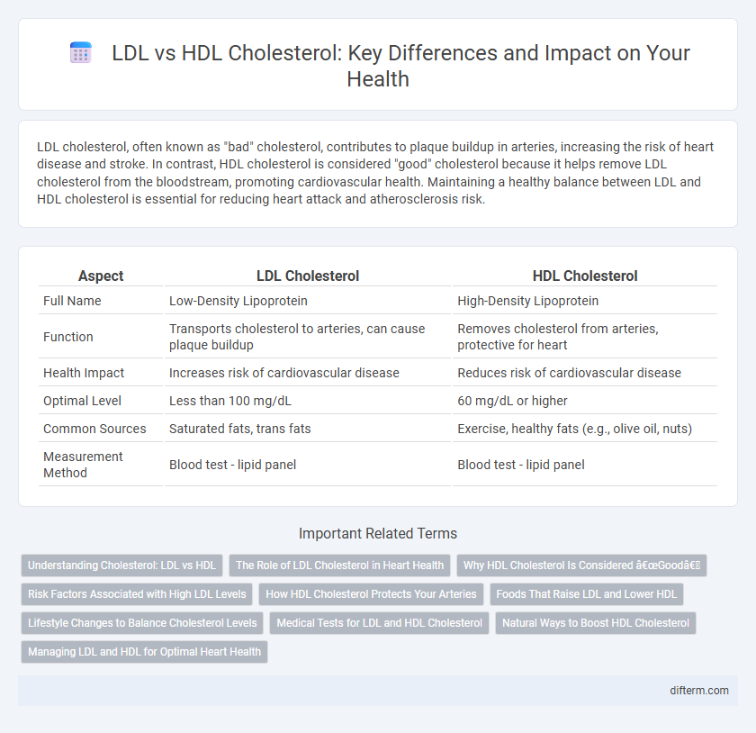 LDL vs HDL Cholesterol: Key Differences and Impact on Your Health