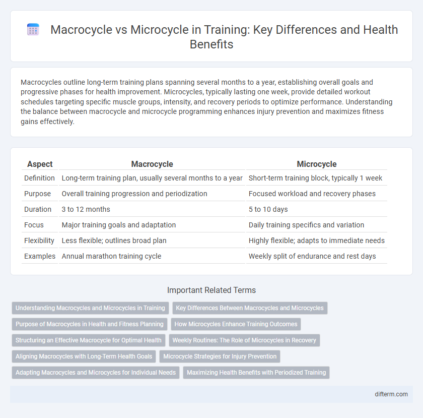 Macrocycle vs Microcycle in Training: Key Differences and Health Benefits
