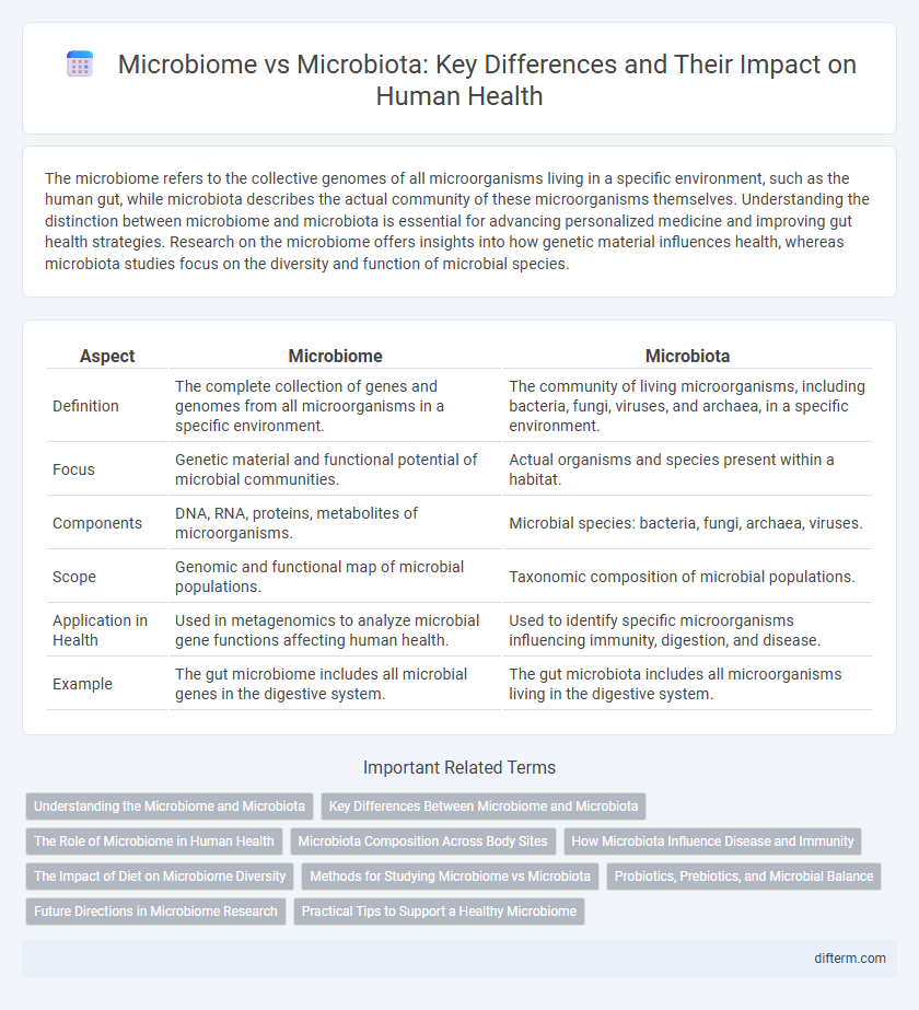 Microbiome vs Microbiota: Key Differences and Their Impact on Human Health