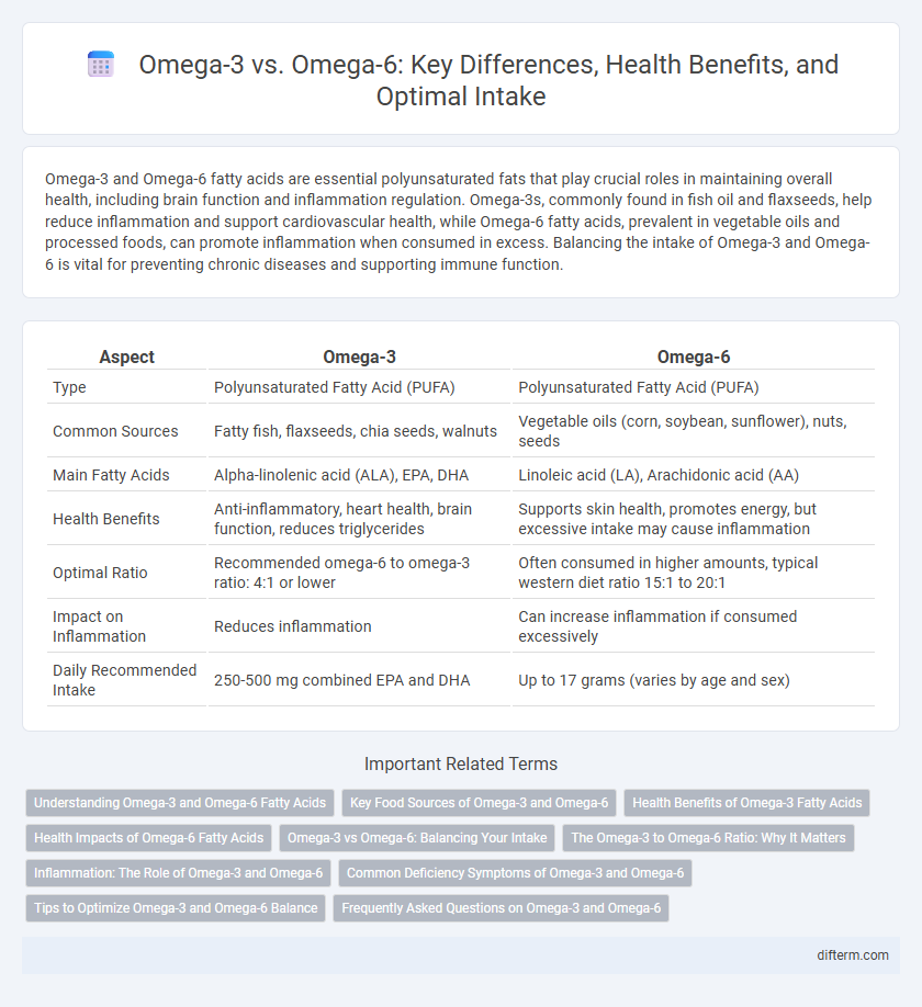Omega-3 vs. Omega-6: Key Differences, Health Benefits, and Optimal Intake