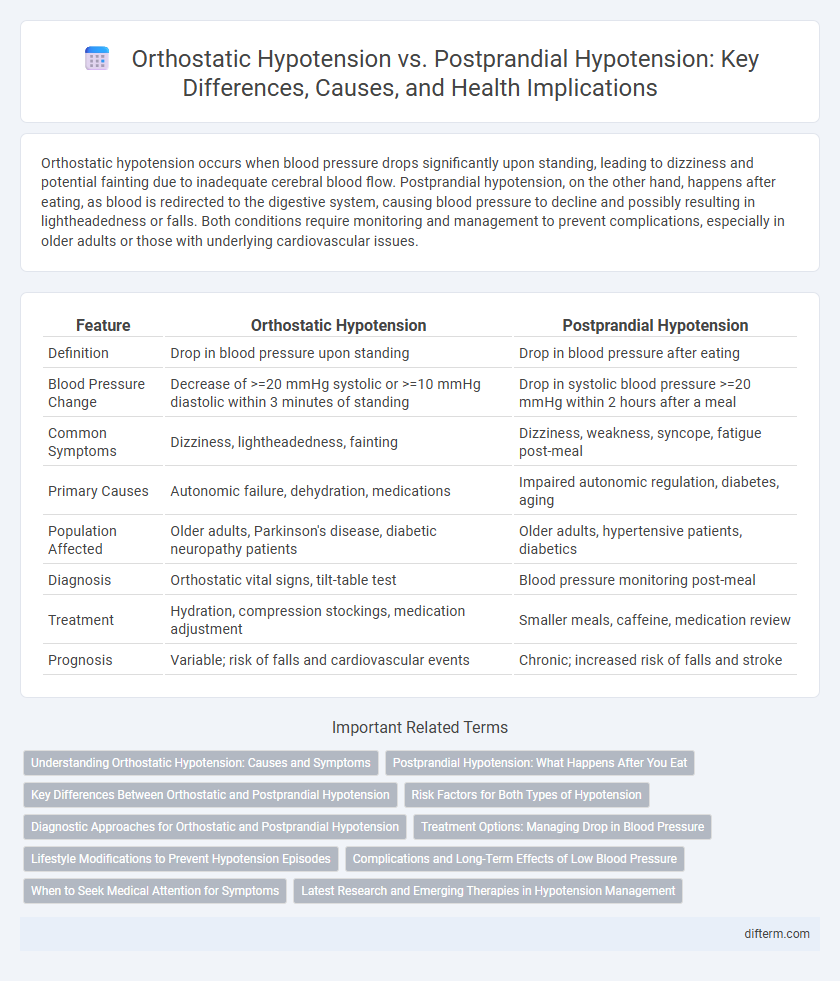 Orthostatic Hypotension vs. Postprandial Hypotension: Key Differences, Causes, and Health Implications