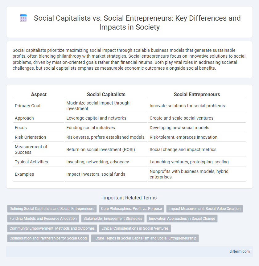 Social Capitalists vs. Social Entrepreneurs: Key Differences and Impacts in Society
