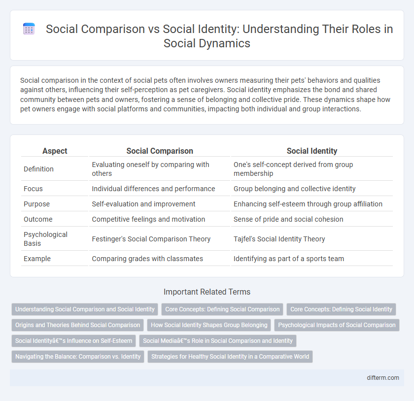 Social Comparison vs Social Identity: Understanding Their Roles in Social Dynamics