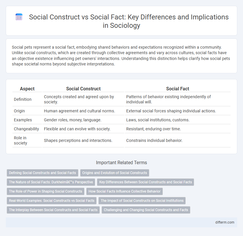 Social Construct vs Social Fact: Key Differences and Implications in Sociology