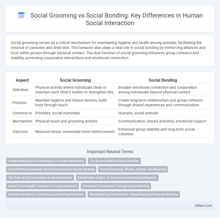Social Grooming vs Social Bonding: Key Differences in Human Social Interaction