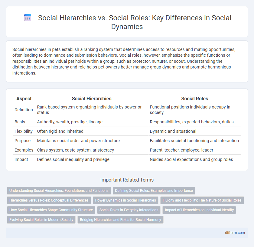 Social Hierarchies vs. Social Roles: Key Differences in Social Dynamics