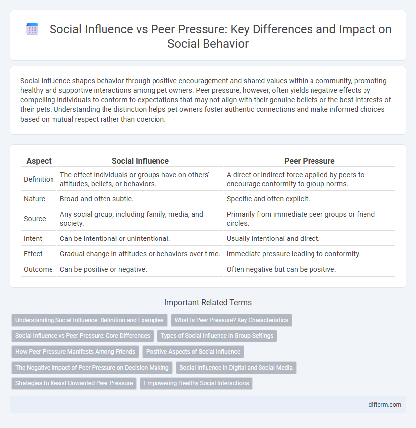 Social Influence vs Peer Pressure: Key Differences and Impact on Social Behavior