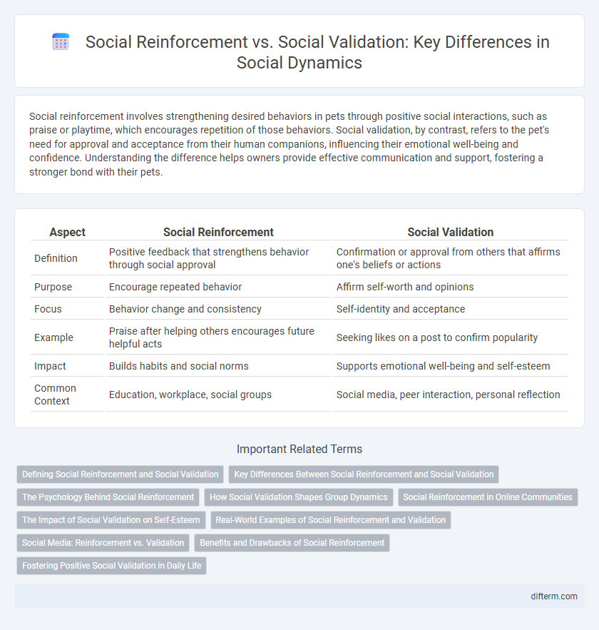 Social Reinforcement vs. Social Validation: Key Differences in Social Dynamics
