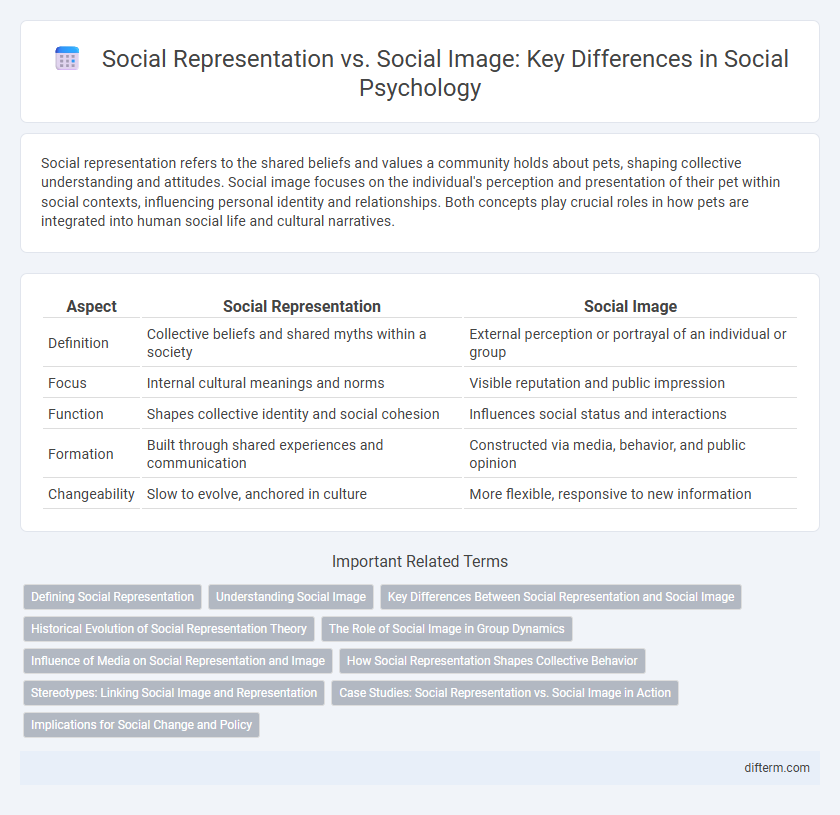Social Representation vs. Social Image: Key Differences in Social Psychology