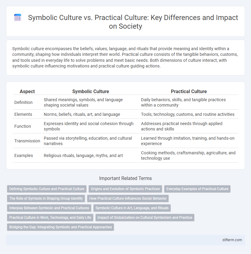 Symbolic Culture vs. Practical Culture: Key Differences and Impact on Society