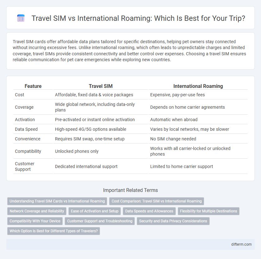 Travel SIM vs International Roaming: Which Is Best for Your Trip?