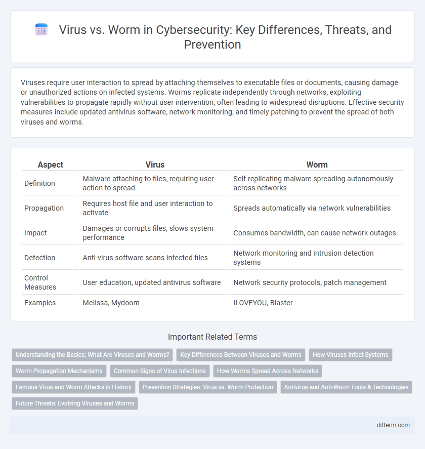 Virus vs. Worm in Cybersecurity: Key Differences, Threats, and Prevention