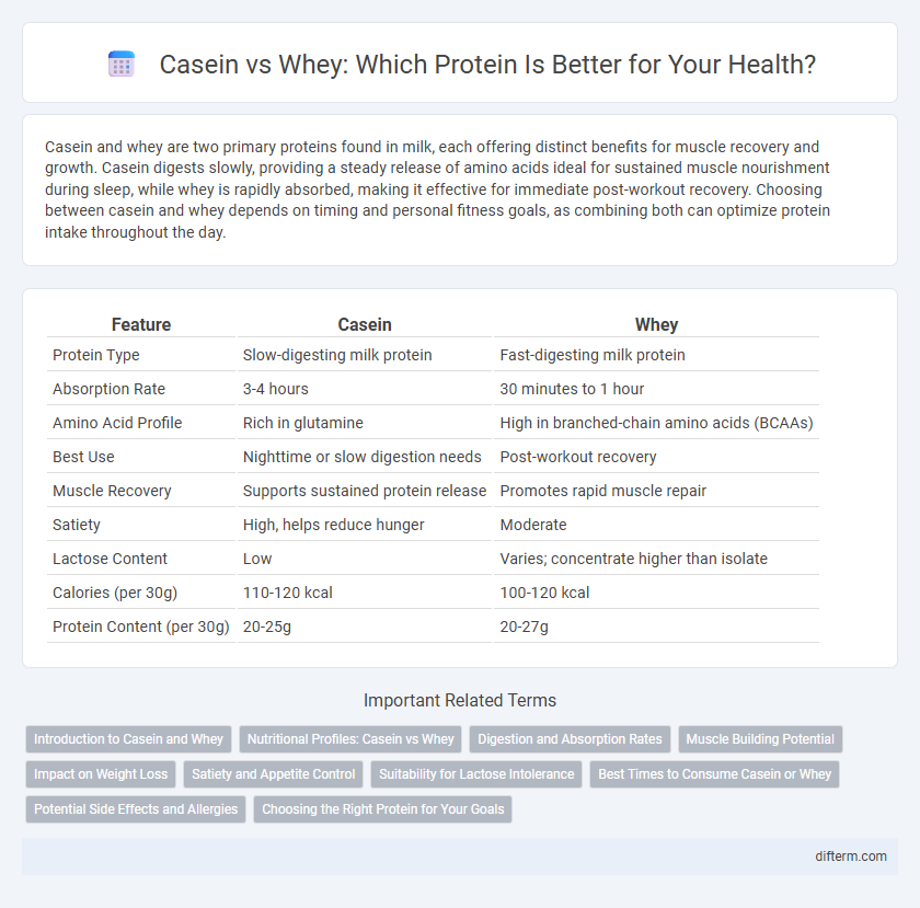 Casein vs Whey: Which Protein Is Better for Your Health?