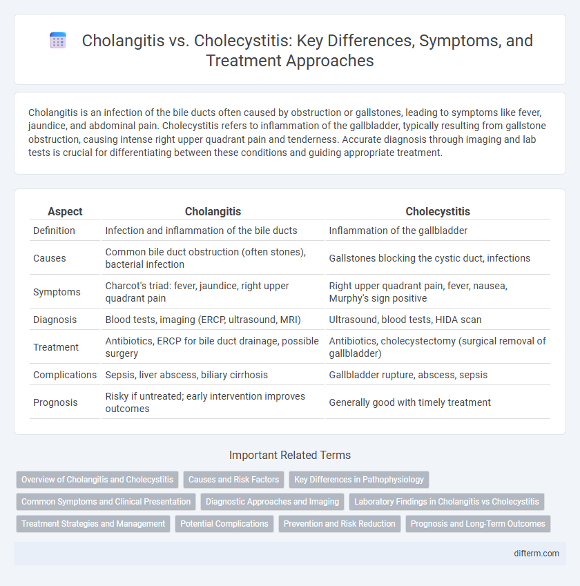 Cholangitis vs. Cholecystitis: Key Differences, Symptoms, and Treatment Approaches