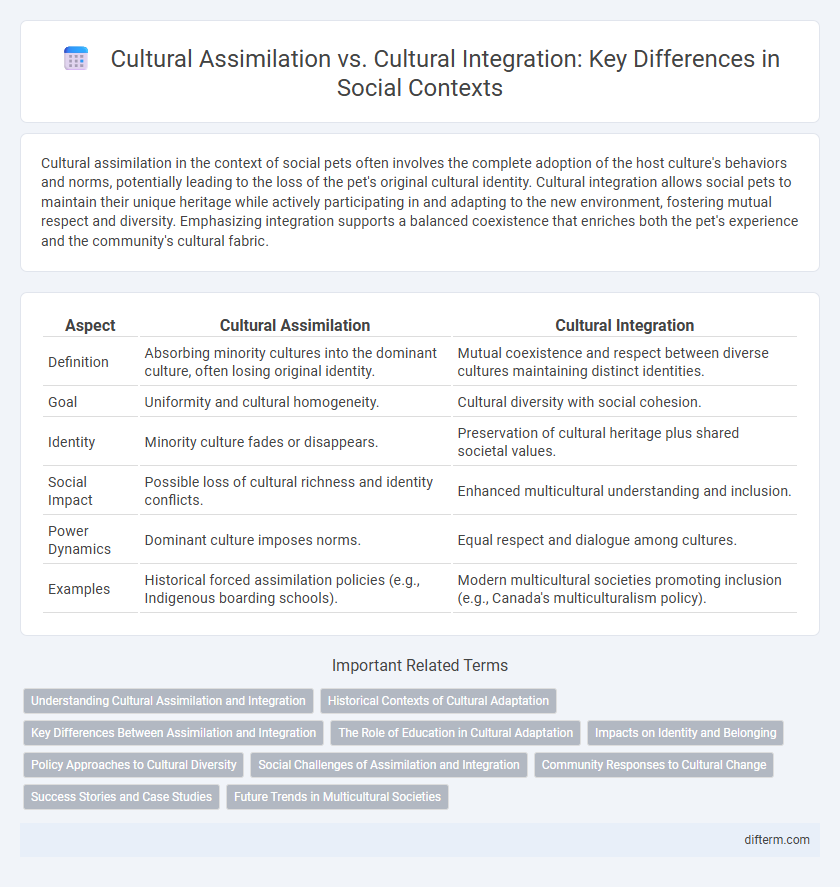 Cultural Assimilation vs. Cultural Integration: Key Differences in Social Contexts