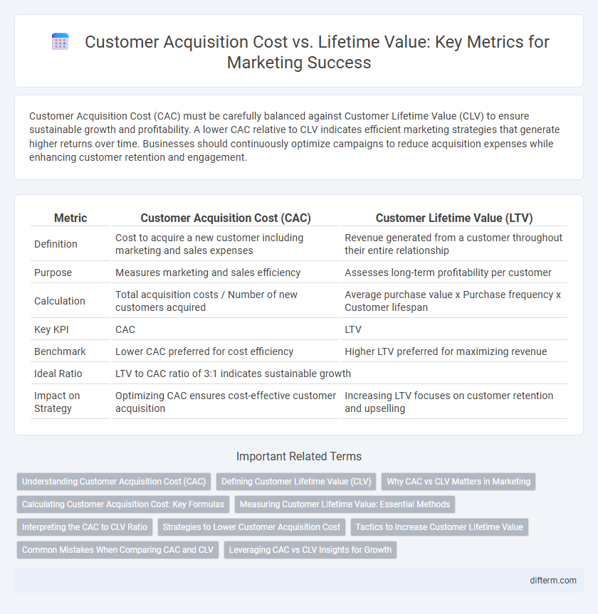 Customer Acquisition Cost vs. Lifetime Value: Key Metrics for Marketing Success