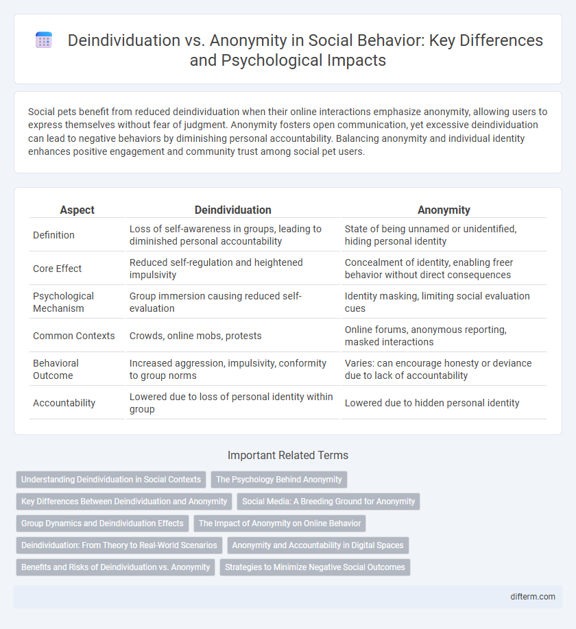 Deindividuation vs. Anonymity in Social Behavior: Key Differences and Psychological Impacts