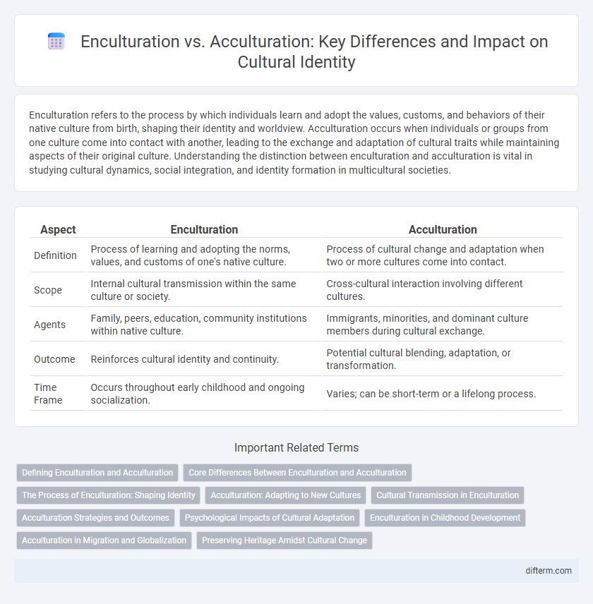 Enculturation vs. Acculturation: Key Differences and Impact on Cultural Identity