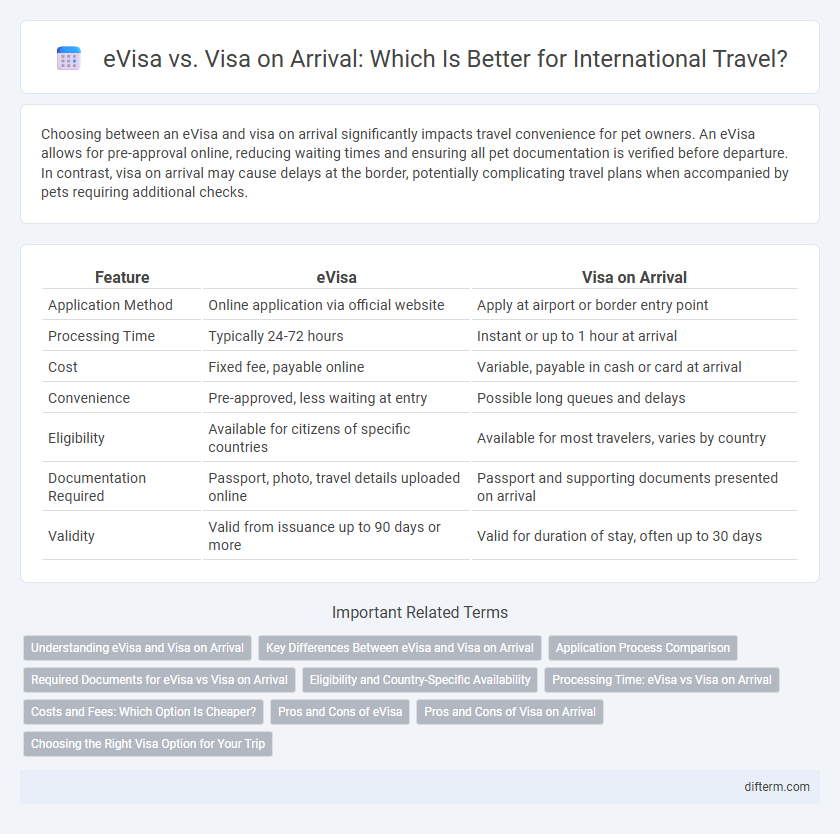 eVisa vs. Visa on Arrival: Which Is Better for International Travel?