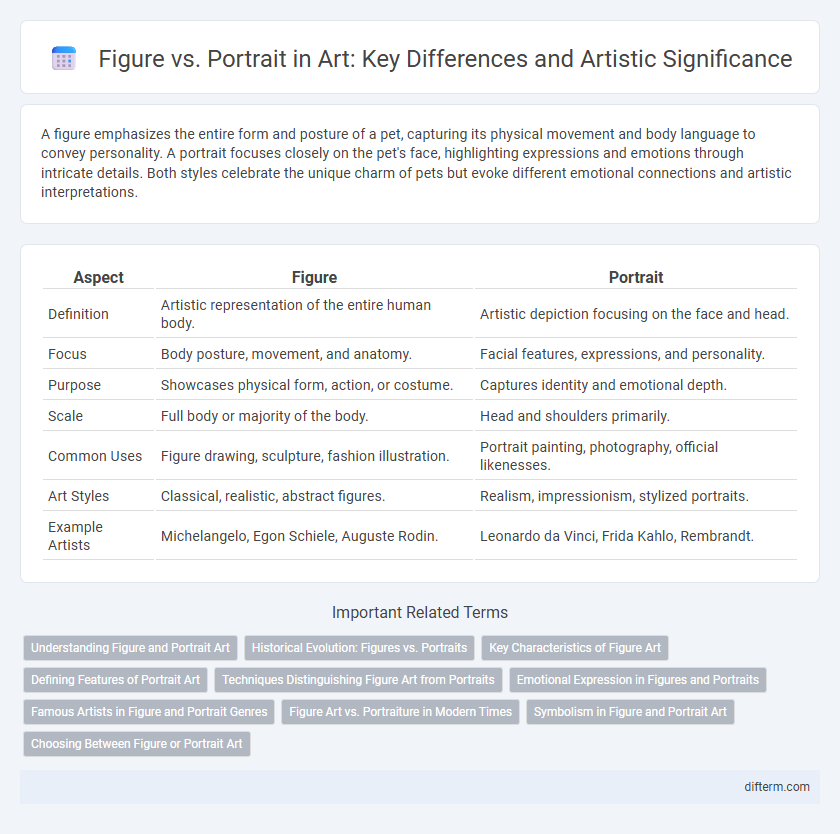 Figure vs. Portrait in Art: Key Differences and Artistic Significance