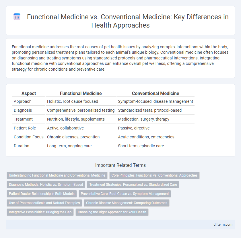 Functional Medicine vs. Conventional Medicine: Key Differences in Health Approaches