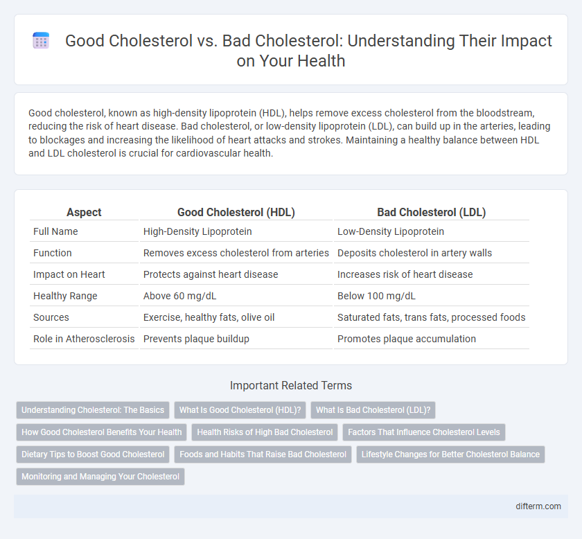 Good Cholesterol vs. Bad Cholesterol: Understanding Their Impact on Your Health
