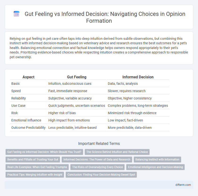 Gut Feeling vs Informed Decision: Navigating Choices in Opinion Formation