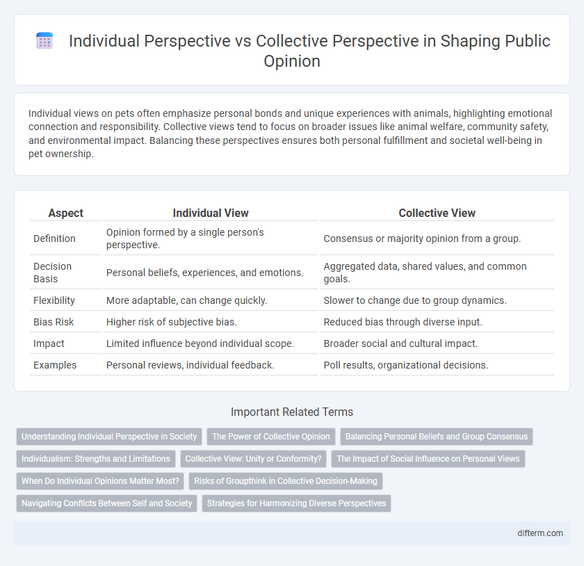 Individual Perspective vs Collective Perspective in Shaping Public Opinion