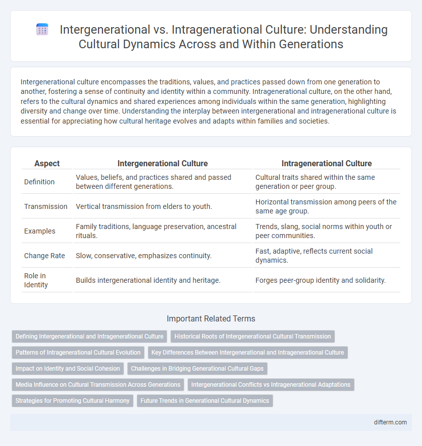 Intergenerational vs. Intragenerational Culture: Understanding Cultural Dynamics Across and Within Generations