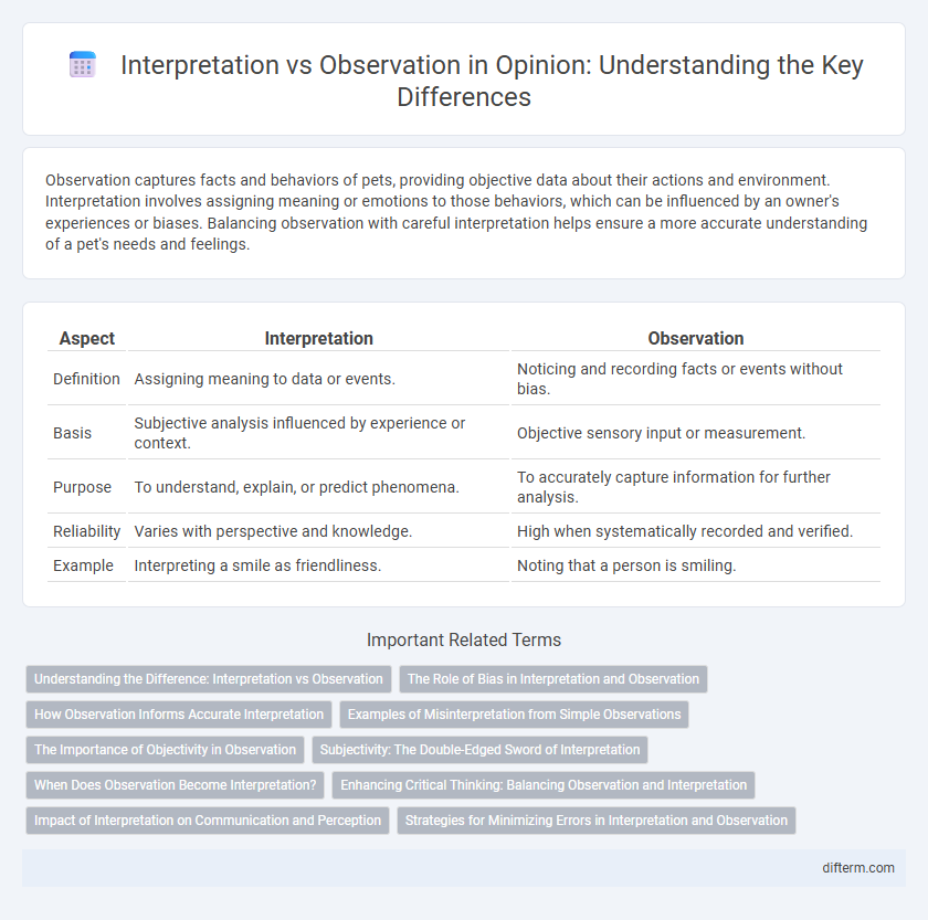 Interpretation vs Observation in Opinion: Understanding the Key Differences