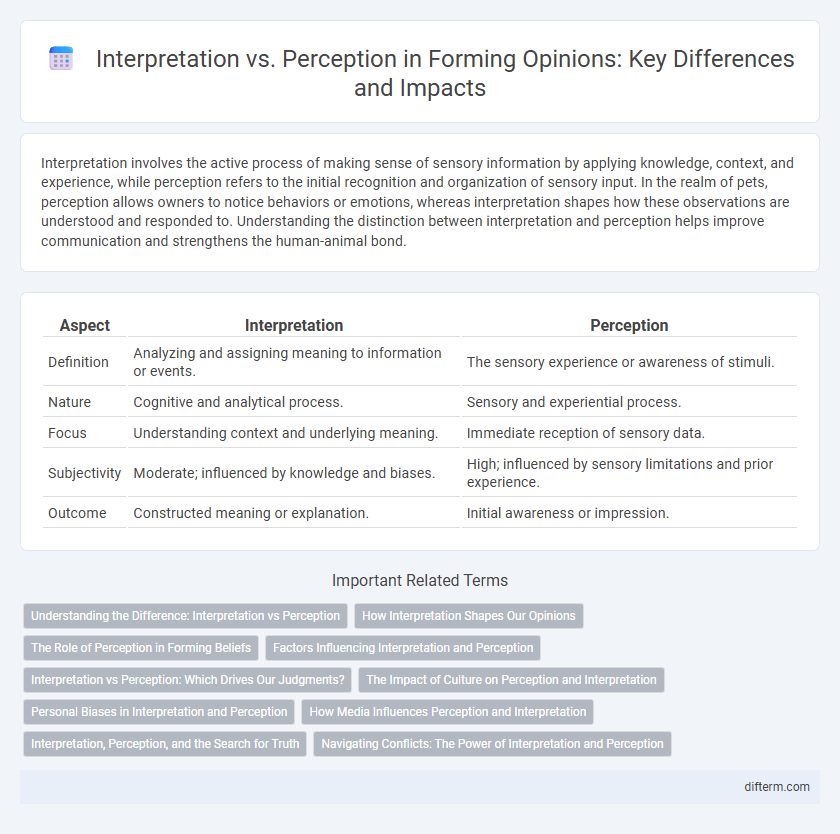 Interpretation vs. Perception in Forming Opinions: Key Differences and Impacts