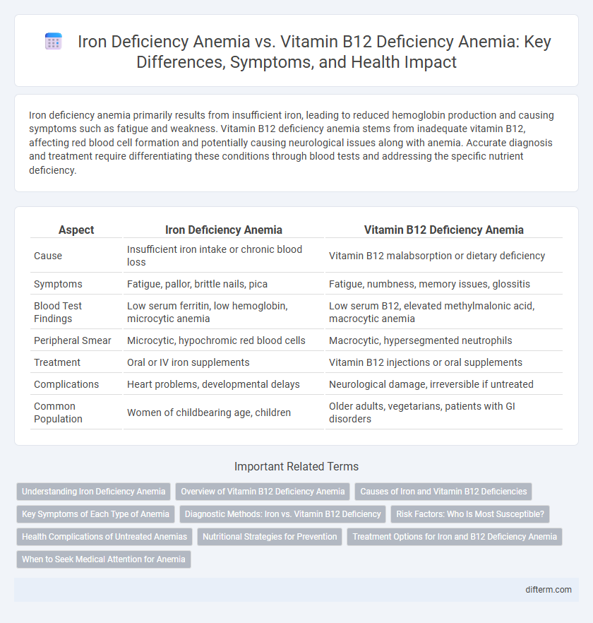 Iron Deficiency Anemia vs. Vitamin B12 Deficiency Anemia: Key Differences, Symptoms, and Health Impact