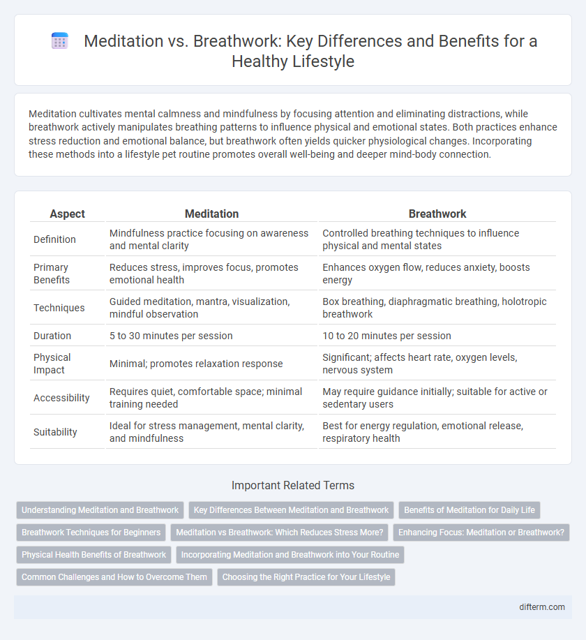 Meditation vs. Breathwork: Key Differences and Benefits for a Healthy Lifestyle