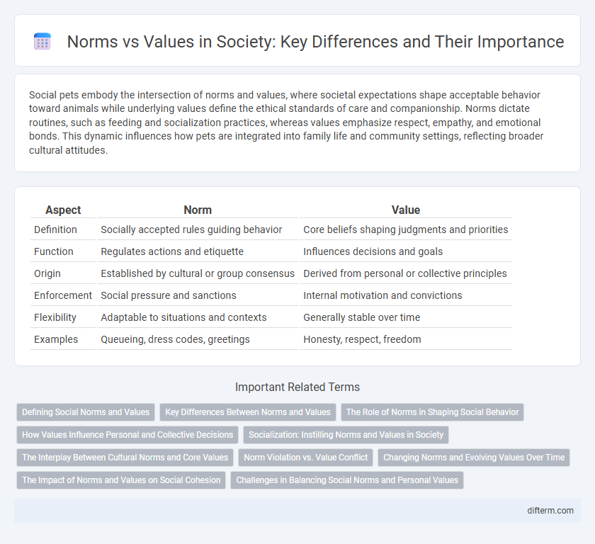 Norms vs Values in Society: Key Differences and Their Importance