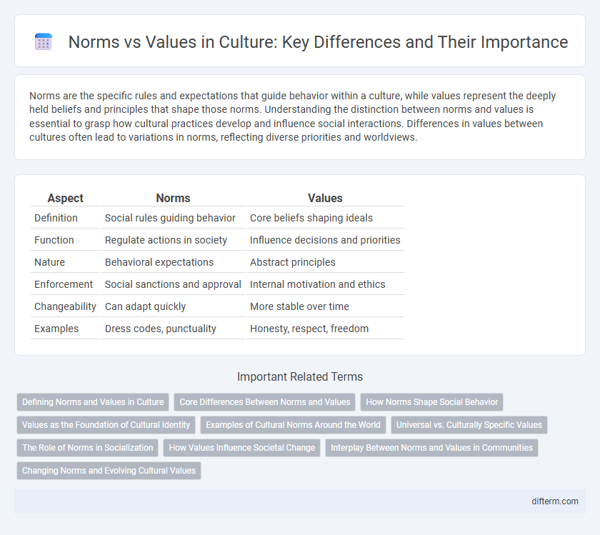 Norms vs Values in Culture: Key Differences and Their Importance