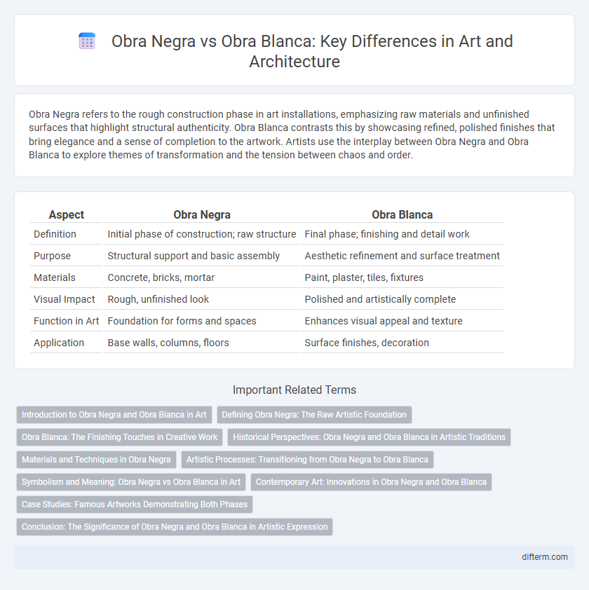 Obra Negra vs Obra Blanca: Key Differences in Art and Architecture