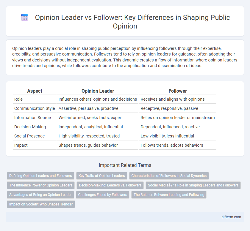 Opinion Leader vs Follower: Key Differences in Shaping Public Opinion