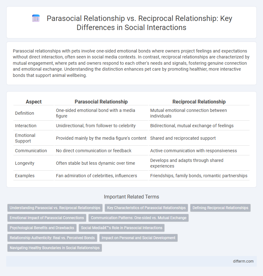 Parasocial Relationship vs. Reciprocal Relationship: Key Differences in Social Interactions