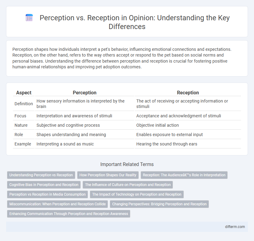 Perception vs. Reception in Opinion: Understanding the Key Differences
