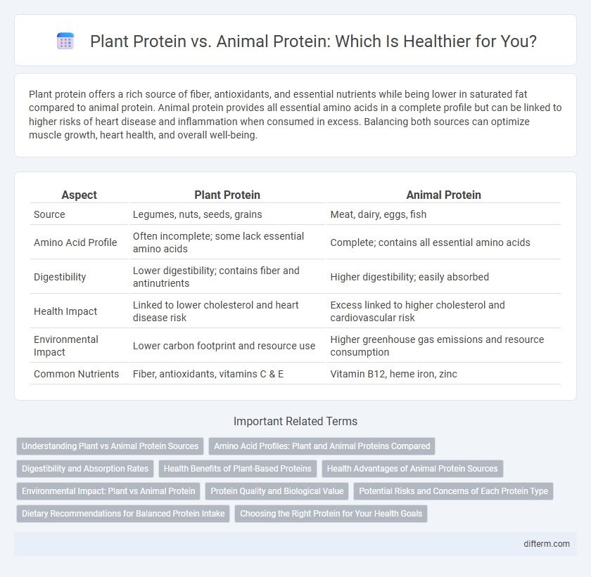 Plant Protein vs. Animal Protein: Which Is Healthier for You?