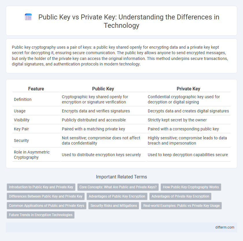 Public Key vs Private Key: Understanding the Differences in Technology