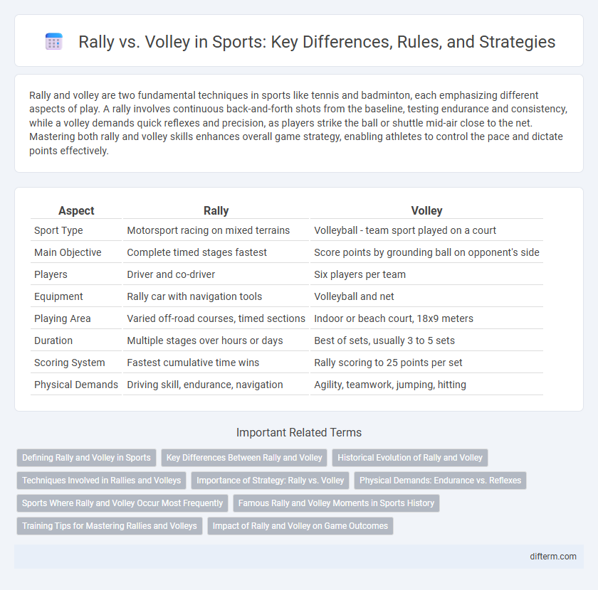 Rally vs. Volley in Sports: Key Differences, Rules, and Strategies